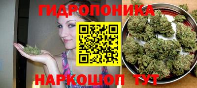 apvp Рузаевка