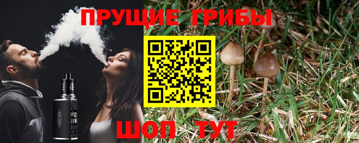 Псилоцибиновые грибы мицелий  Вход с VPN  сколько стоит  Сегежа 